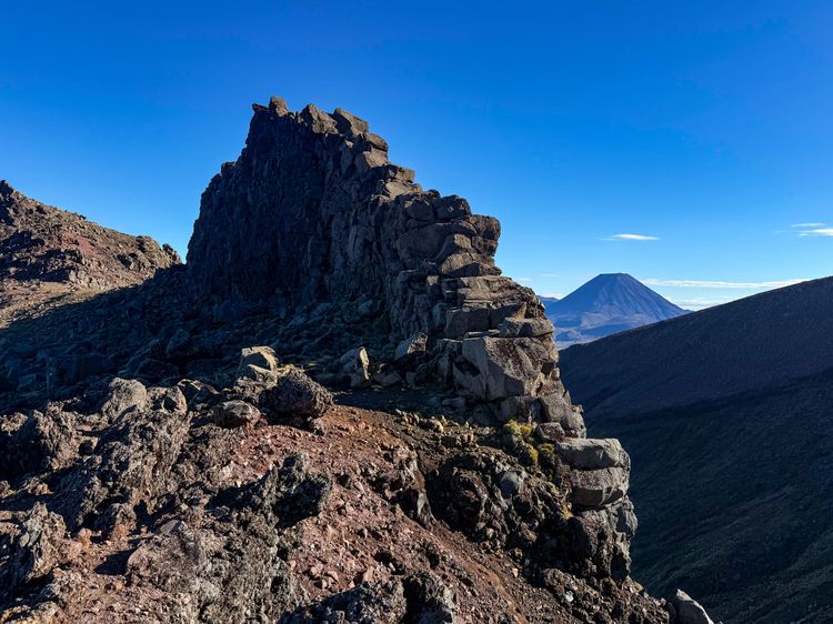 Recognised on a world stage.