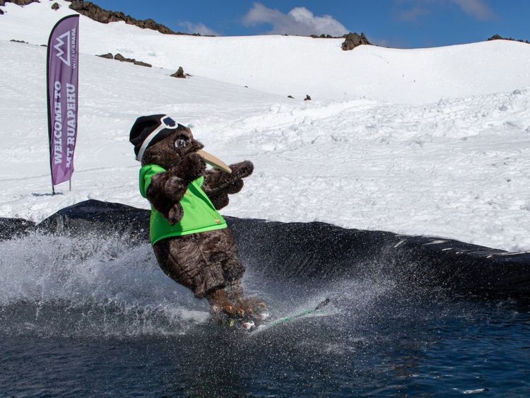 Pond Skim