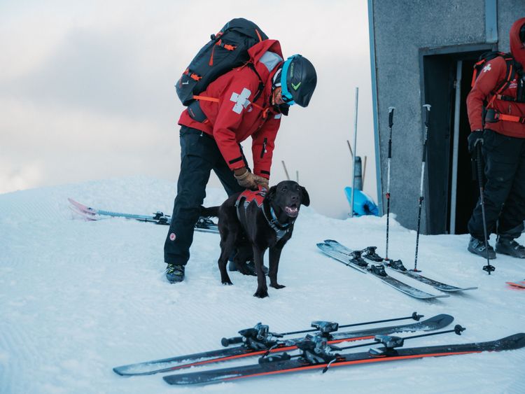 Reporting an incident