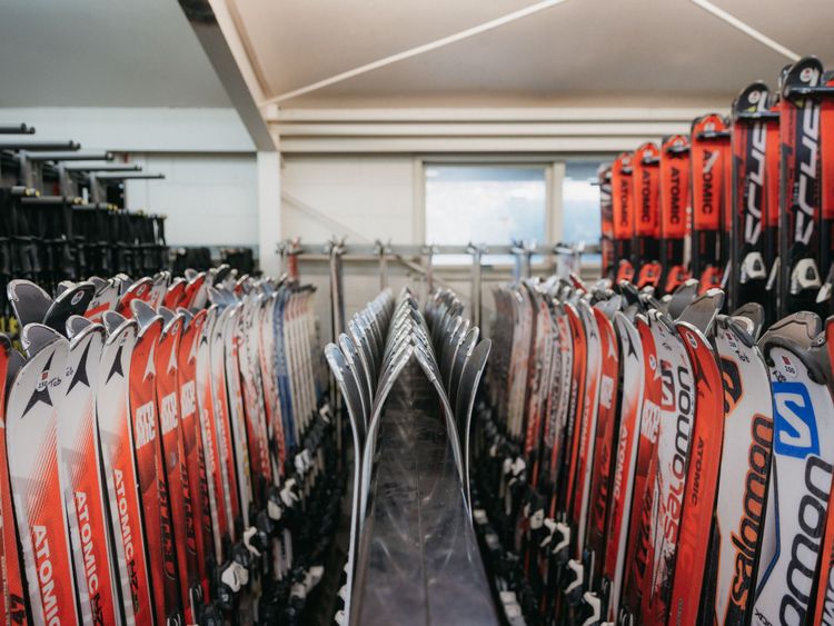 Rentals to suit your level