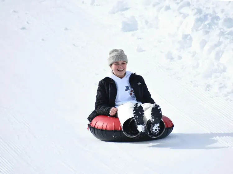 Snowland