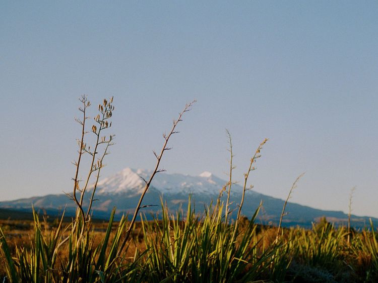 The Magic Mountain