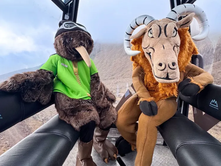 The Goat Adventure Run