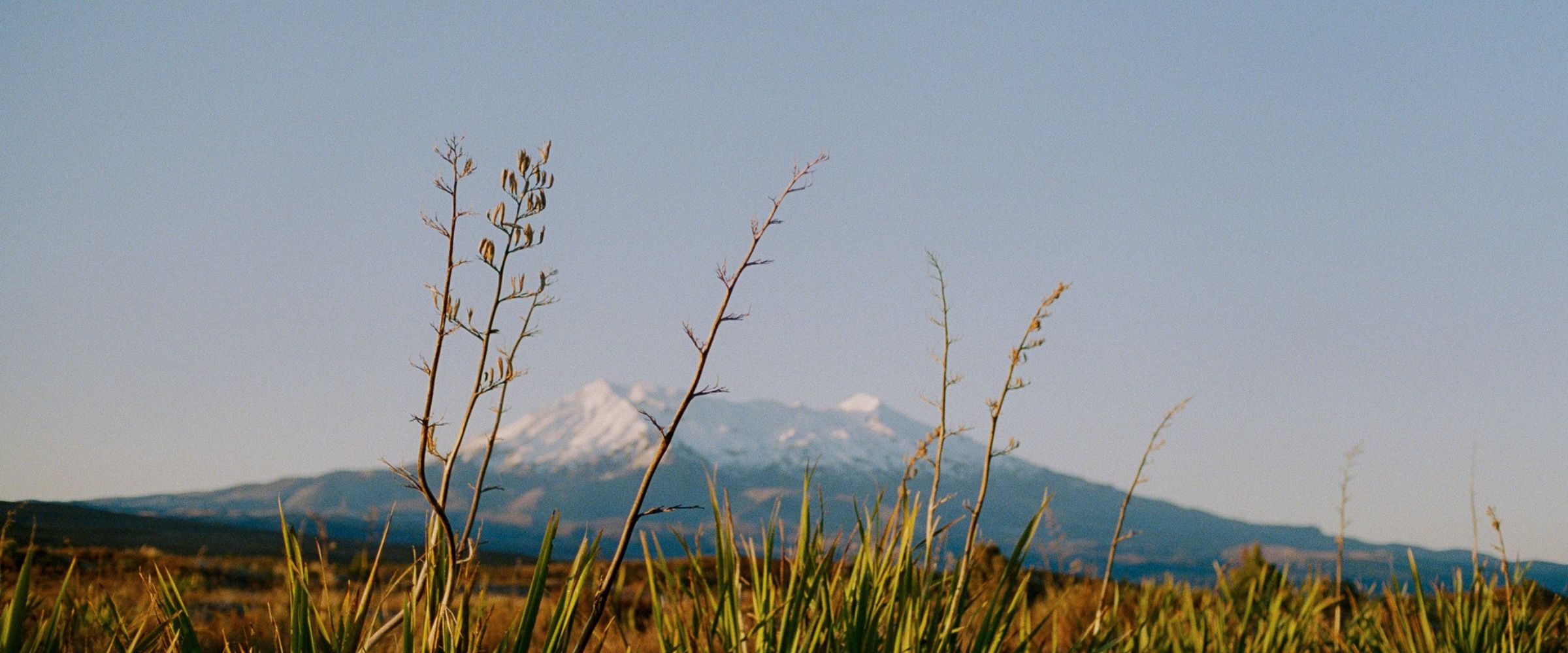 Welcome to Mount Ruapehu